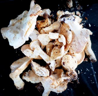 SAMSUNG CAMERA PICTURES