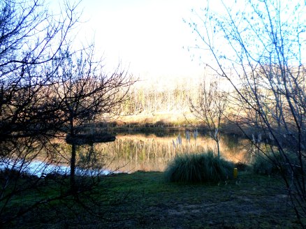 SAMSUNG CAMERA PICTURES