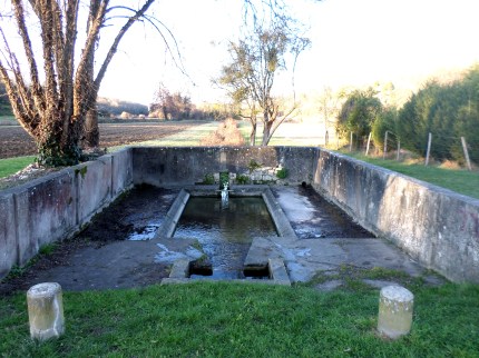 SAMSUNG CAMERA PICTURES