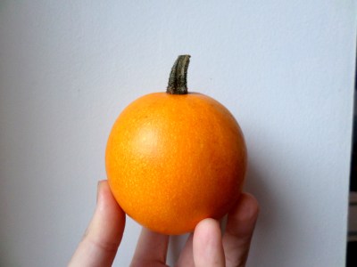 SAMSUNG CAMERA PICTURES