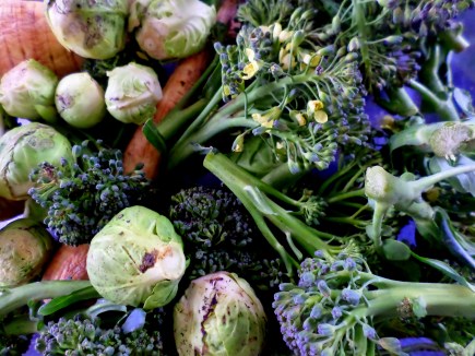 SAMSUNG CAMERA PICTURES