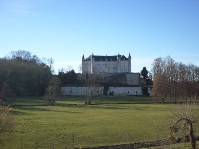 SAMSUNG CAMERA PICTURES