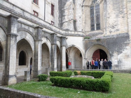 SAMSUNG CAMERA PICTURES