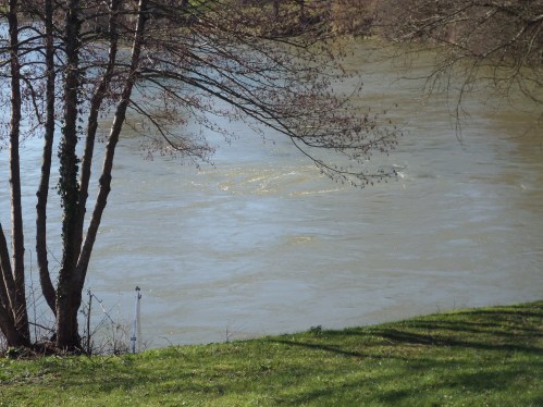 SAMSUNG CAMERA PICTURES