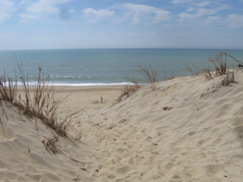 tumblr_inline_nj1ta7bgex1t3kdp8