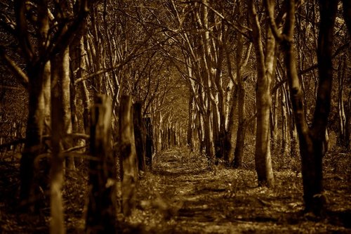 tumblr_inline_nj1tp4eiyp1t3kdp8