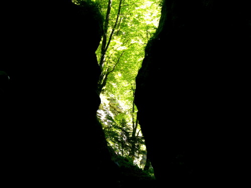 tumblr_inline_nj1u46k4hs1t3kdp8